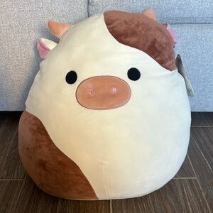 Squishmallow Ronnie 16”